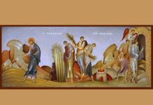 Κυριακή Δ’ Λουκά: Παραβολή του σπορέως