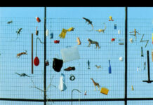 Ο «χριστιανός επιστήμονας»: στοχασμοί πάνω σε μια υβριδική ετερότητα