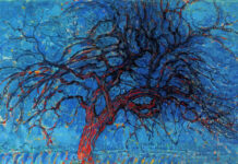 Οι πυρκαγιές και η κοινωνική κρίση