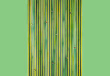 Δεν φοβάμαι τις μηχανές