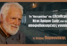 Το “Κατερπίλαρ” της ελευθερίας: Νέοι δρόμοι ζωής για τις αποφυλακισμένες γυναίκες