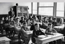 Η παιδεία υπό κατάρρευση